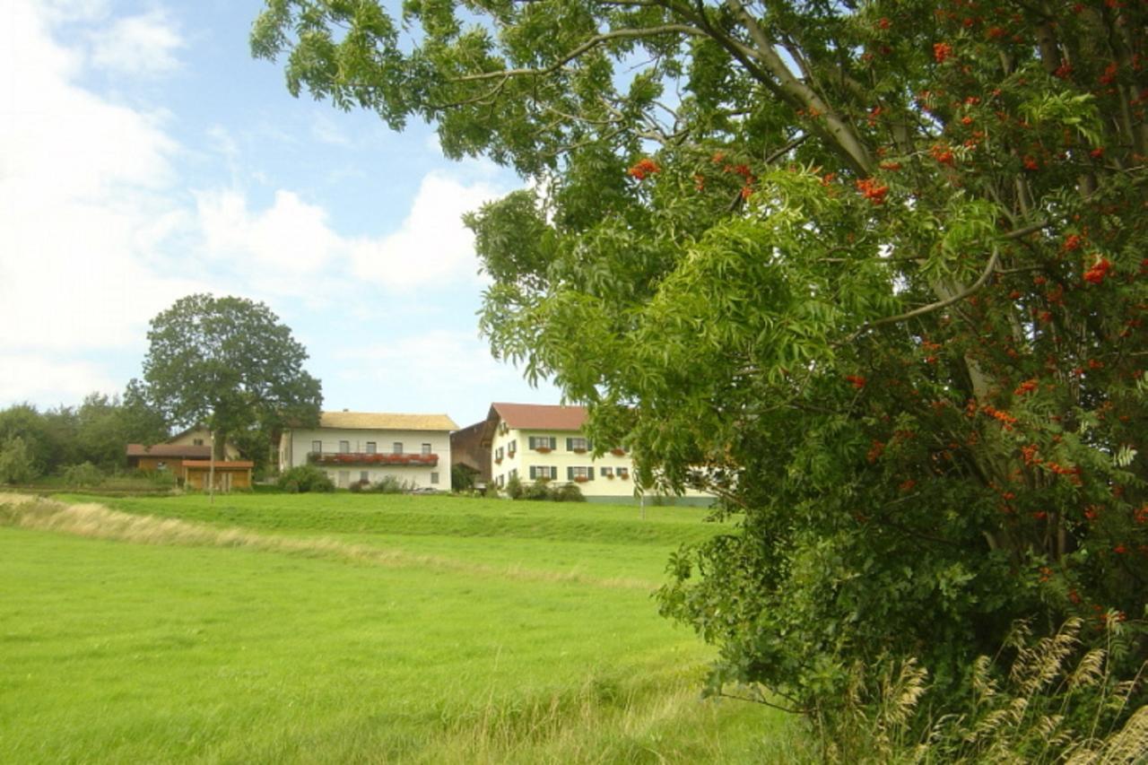 Ferienwohnung Birkenhof Neukirchen beim Heiligen Blut Exterior foto